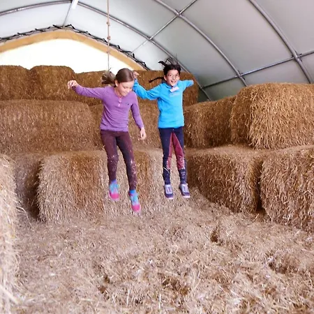 Gaensebluemchen Bliesdorf