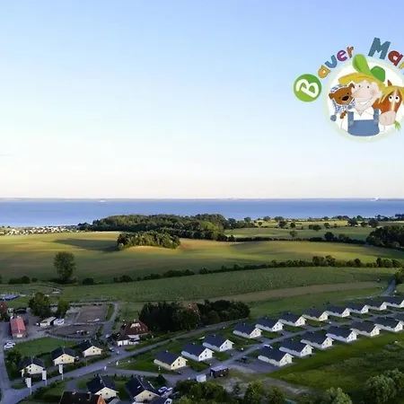 Gaensebluemchen Bliesdorf