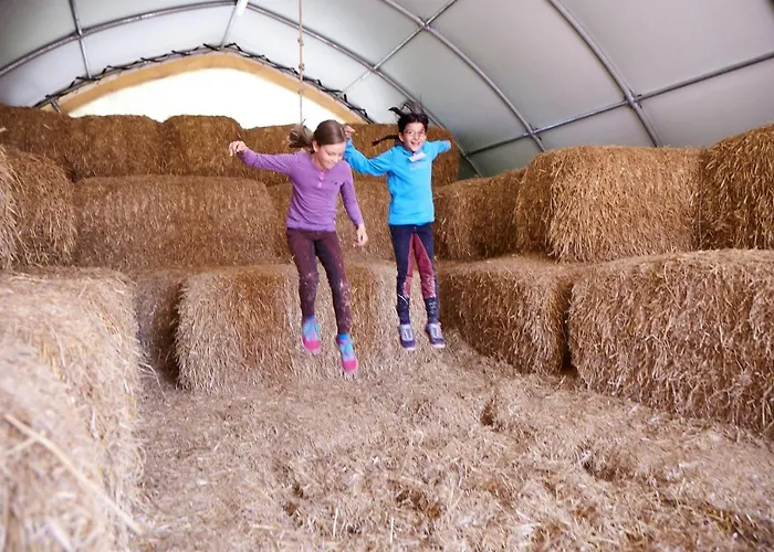 Gaensebluemchen Bliesdorf